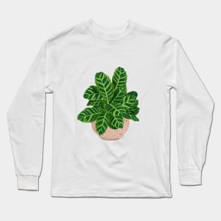 Calathea Illustration Long Sleeve T-Shirt